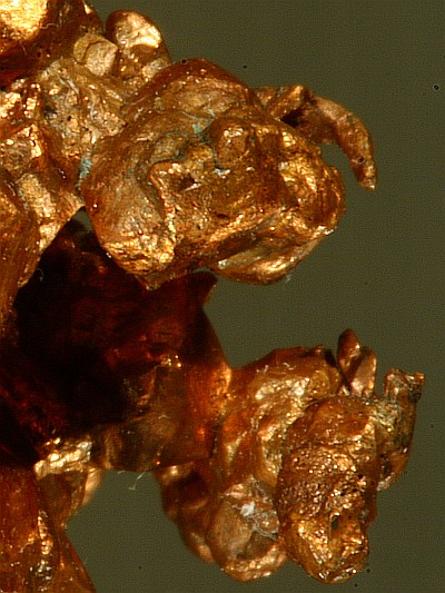 Kupfer gediegen - Nativ Kupfer
